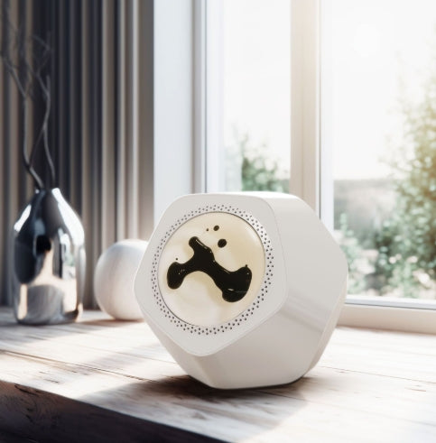 Magnetofluid Speaker