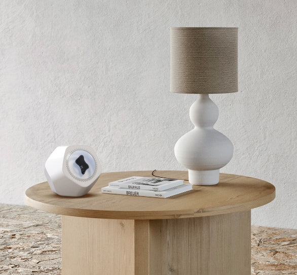 Magnetofluid Speaker