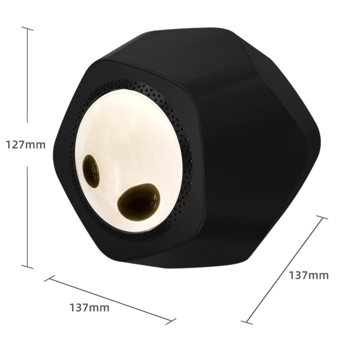 Magnetofluid Speaker