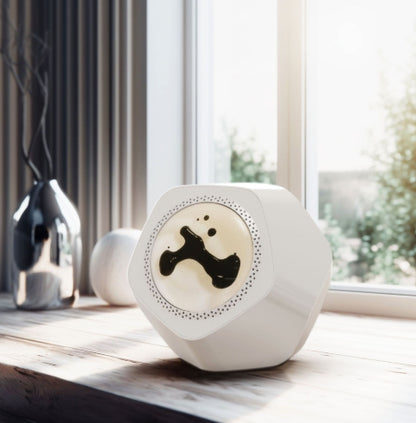 Magnetofluid Speaker