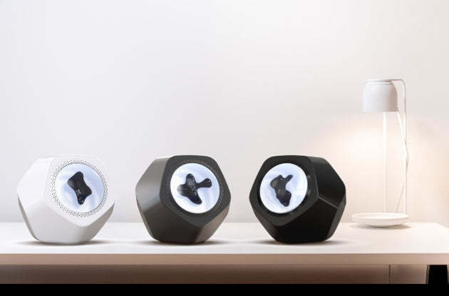 Magnetofluid Speaker