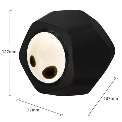 Magnetofluid Speaker